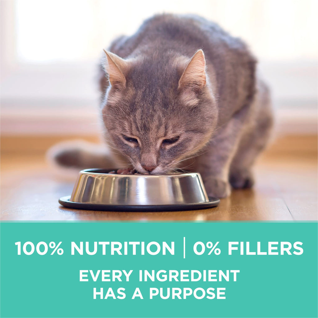 Purina ONE +Plus Sensitive Stomach Sensitive Skin, Natural Dry Cat Food