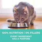 Purina ONE Sensitive Skin and Stomach Dry Cat Food 16 lb Bag