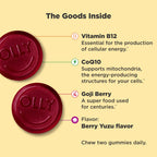 OLLY Extra Strength Daily Energy Gummy, Caffeine Free Cellular Energy Production,* 1000 mcg Vitamin B12, CoQ10, Goji Berry, Adult Chewable Supplement, Berry Yuzu Flavored, 30 Day Supply - 60 Count