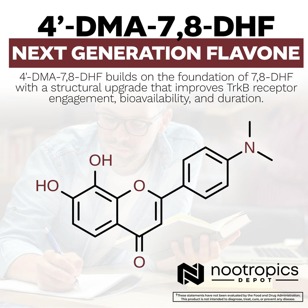 Nootropics Depot 4’-DMA-7,8-DHF Capsules | 10mg | 90 Count | 4'-DMA-7,8-Dihydroxyflavone