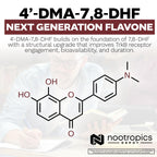 Nootropics Depot 4’-DMA-7,8-DHF Capsules | 10mg | 90 Count | 4'-DMA-7,8-Dihydroxyflavone