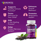 Elderberry Gummies for Kids with Zinc and Vitamin C - Immune Support Supplement for Children - 60 Count, Vegan, Berry Flavor - Convenient Daily Defense with Antioxidants and Essential Nutrients