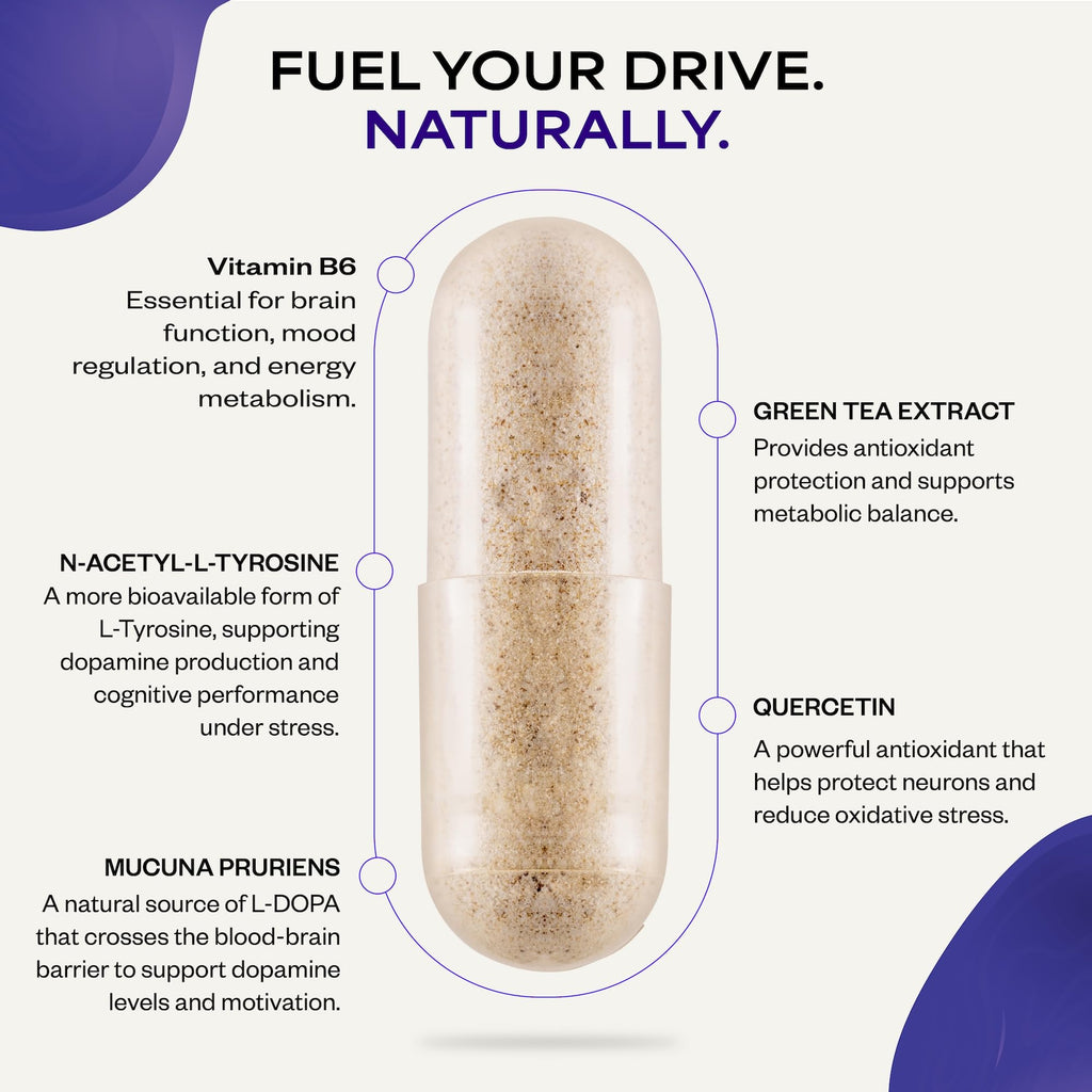 Suppgrade Labs Motivation 101 by Dave Asprey | Targeted Dopamine Support for Drive + Mood | Supports Focus, Memory, Learning, Balanced Moods, and Positive Mental Outlook | 30 Day Supply
