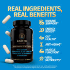 Rooted Origins Sea Moss Capsules – Irish Sea Moss Advanced, Magnesium, Ashwaghanda, Black Seed Oil, Burdock Root & Bladderwrack – Immune Support, Gut Health, Energy, & More – 60 Capsules