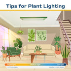 Costa Farms Live Indoor House Plants (6-Pack), Hand Selected Easy to Maintain Indoor Assorted Houseplants, Curated Air Purifying Mix, Low Light, Home Office Decor Plant Gift