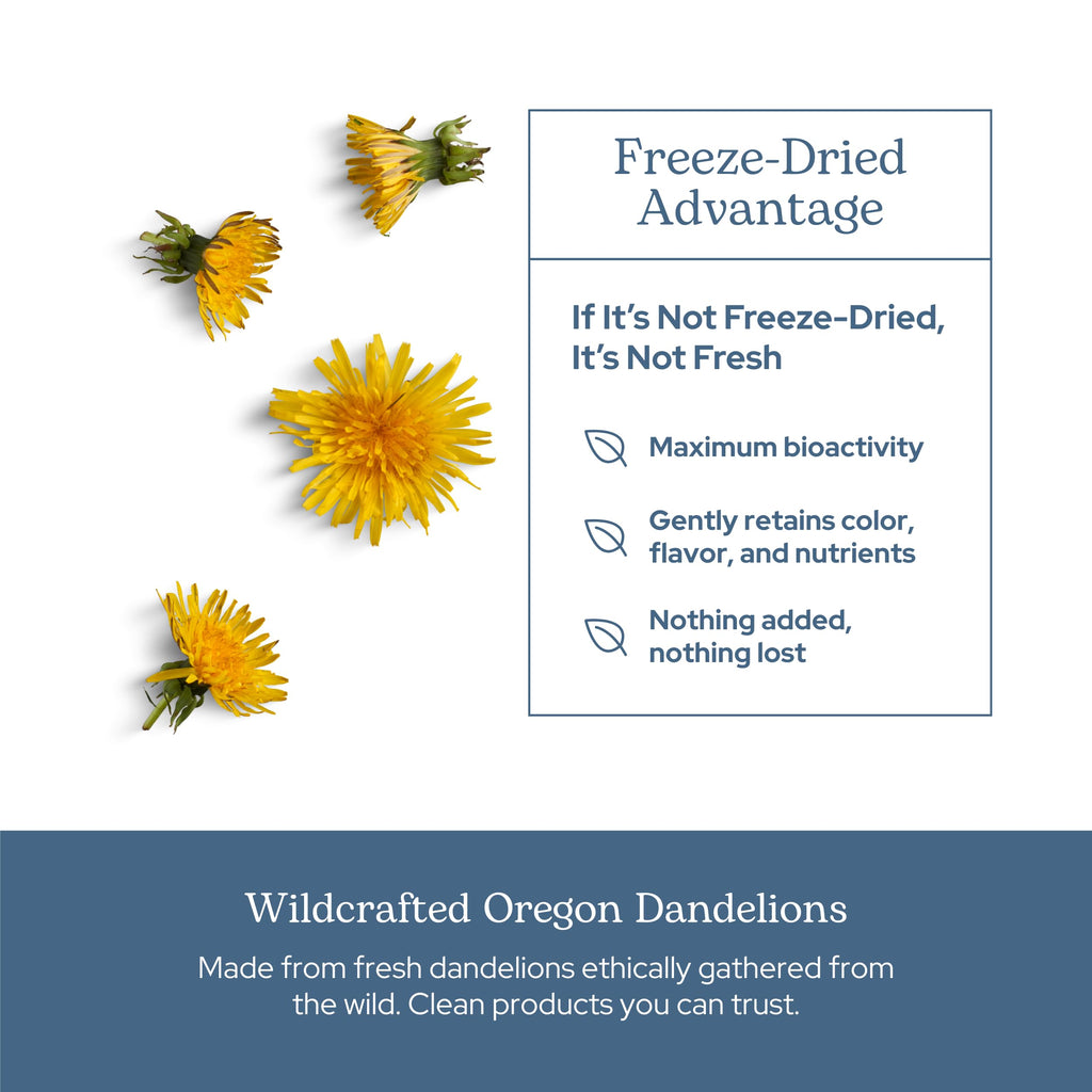 Eclectic Herb - Organic Freeze-Dried Dandelion Leaf Capsules | Supports Cleansing, Digestive Function & Heart Health | Natural Herbal Supplement | US-Grown, Vegan, Non-GMO (90 CT | 200 mg)