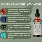 velora Red Yeast Rice Cholesterol Cleans Drops with Citrus, Bergamot, Red Yeast Rice, Soursop, Olive Leaf, Vitamin C+D, Natural, Non-GMO, Vegan 2 fl oz (2pcs)