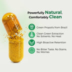 LABO Nutrition Brazilian Green Propolis Ultimate - Contains >7% or 28mg per Serving Artepillin C & >5% Flavonoids, for Immune & Brain Support, Natural, High Concentrate & Premium, 60 Veg Capsules