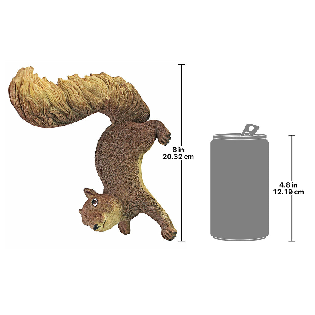 Design Toscano Simone, The Squirrel Hanging Sculpture