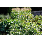 G-LEAF Garden Stakes 4 ft Plastic Coated Steel Tube Sturdy Metal Plant Sticks for Tomato,Cucumber,Bean,Tree,Pack of 50