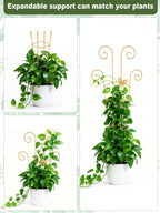 Butterfly Metal Monstera Trellis, Gold Garden Treleaf Expandable Trellis
