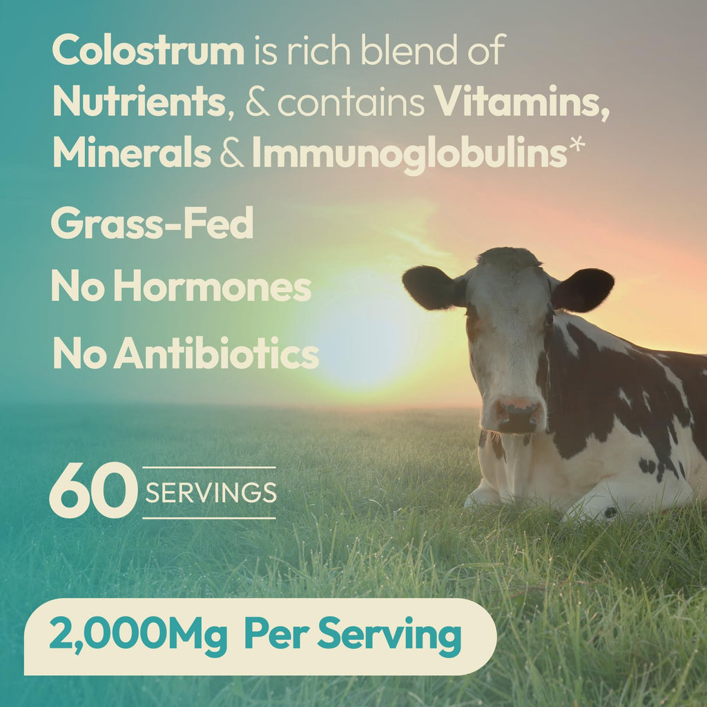 OXNUTRITION Colostrum Powder for Gut Health, Immune Support, Muscle Recovery, Hair & Beauty | Pure Gress Fed Bovine Colostrum for Humans, Natural IgG, Unflavored, 60 Servings
