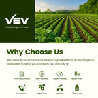 VEV Oil of Oregano with Black Seed Oil & Moringa, Organic, 300 Softgels, Aceite de Orégano, Carvacrol-Rich, Opaque Airtight Packaging, Immune Support Supplement