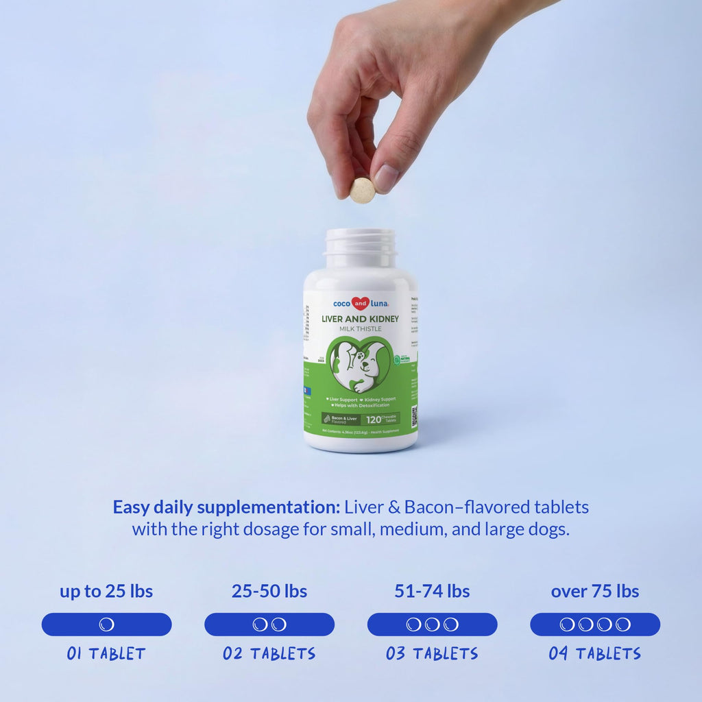 Milk Thistle for Dogs - 120 Chewable Tablets - Silymarin - Liver and Kidney Support with EPA & DHA - Detox - Liver Supplement for Dogs with Choline and L-Arginine (Milk Thistle Tablet)