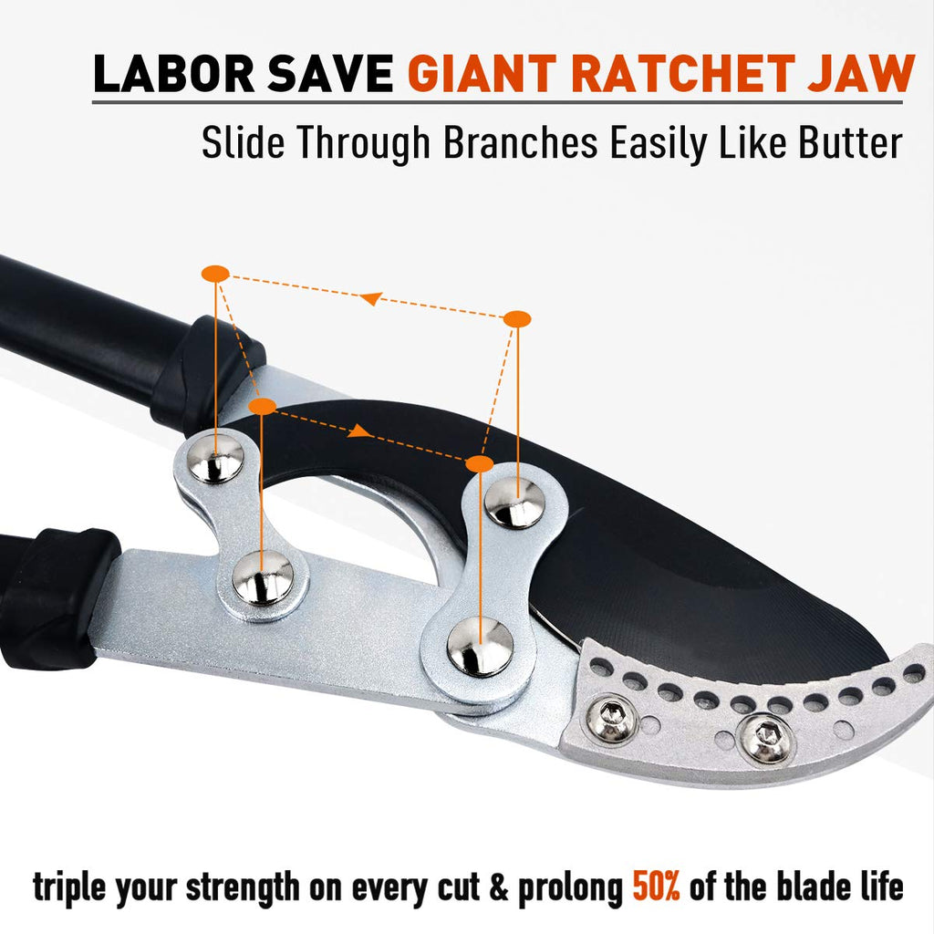 Jardineer Ratchet Anvil Loppers, Heavy Duty Tree Branch Cutters with 2" Cutting Capacity, Labor-Saving Garden Loppers with Additional SK5 Spare Blade for Yard, Orchard & Thick Shrub Trimming