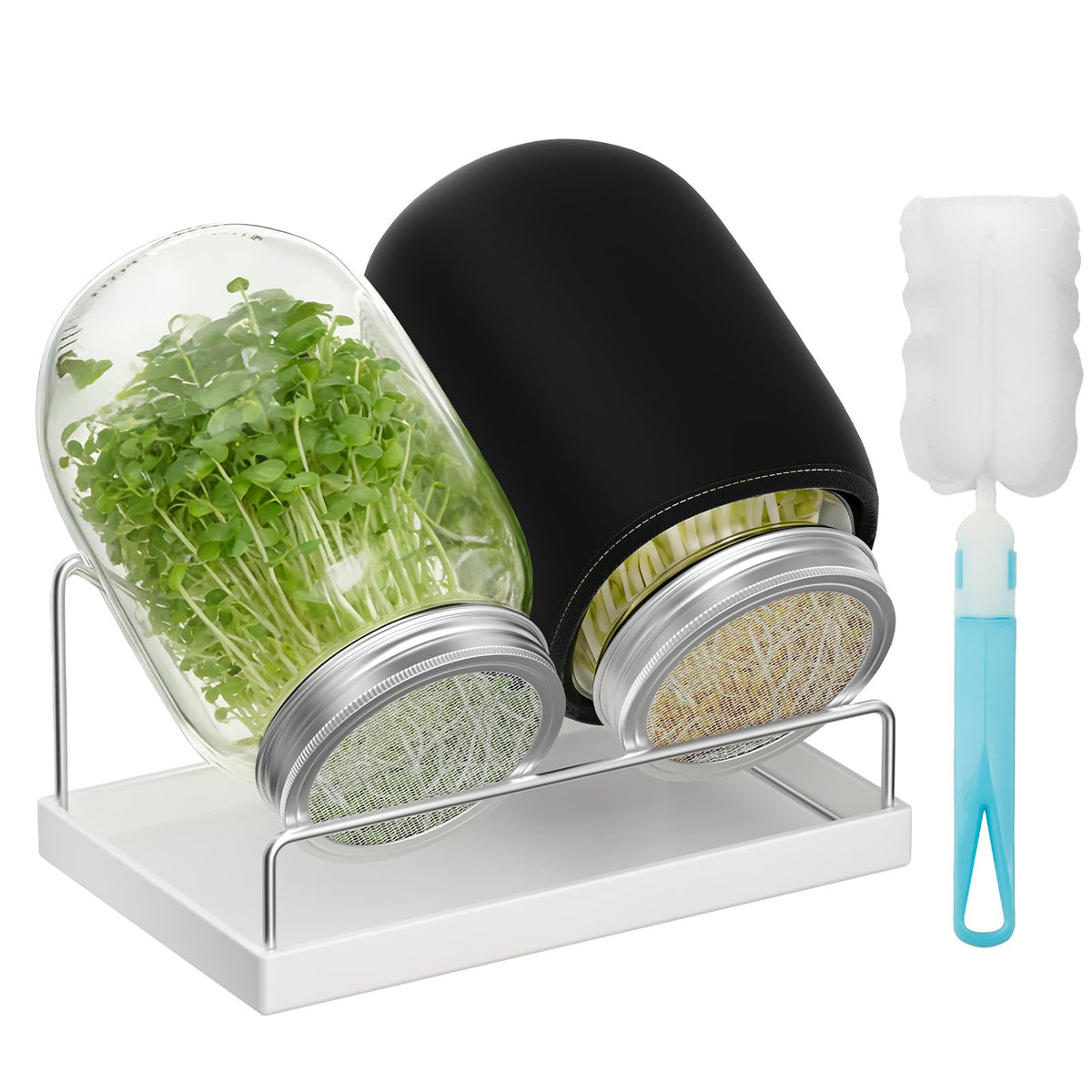 Pawfly Sprouting Kit, Wide Mouth 1 Quart (1000 mL) Mason Jars