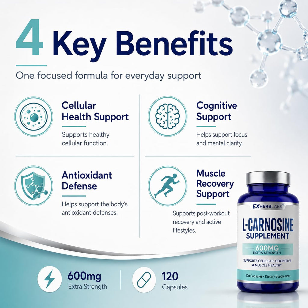 L-Carnosine 600mg Capsules, Premium Carnosine Supplement for Cellular Rejuvenation & Brain Support, Advanced L Carnosine Supplement for Antioxidant Defense & Muscle Recovery, 120 Capsules
