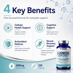 L-Carnosine 600mg Capsules, Premium Carnosine Supplement for Cellular Rejuvenation & Brain Support, Advanced L Carnosine Supplement for Antioxidant Defense & Muscle Recovery, 120 Capsules