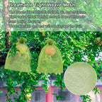 Shintop 100Pcs Fruit Protection Bags, 8x12 Inch Green Grape Netting Cover