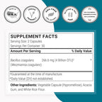 Supersmart Bacillus Coagulans Probiotic 4 Billion CFU per Day (High Absorption) - Lactobacillus Sporogenes Supplement | Non-GMO & Gluten Free - 60 Delayed Release Capsules
