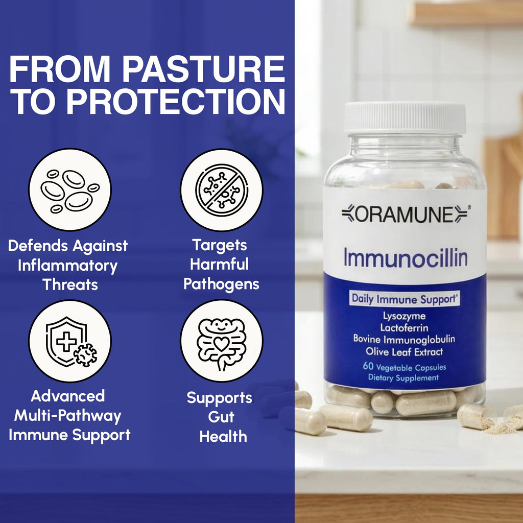 Oramune ImmunoCillin Immune Support Supplement with Lactoferrin, Lysozyme, Bovine Immunoglobulin & Olive Leaf Extract – Supports Immune Defense, Strengthens Cellular Function for Adults – 60 Capsules