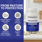 Oramune ImmunoCillin Immune Support Supplement with Lactoferrin, Lysozyme, Bovine Immunoglobulin & Olive Leaf Extract – Supports Immune Defense, Strengthens Cellular Function for Adults – 60 Capsules