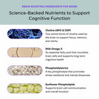 VitaminIQ Mommy Brain Postnatal Supplement (60 Capsules) for Cognitive Health, Mood, Energy with GPC and CDP Choline, Phosphatidylserine, Omega-3 DHA
