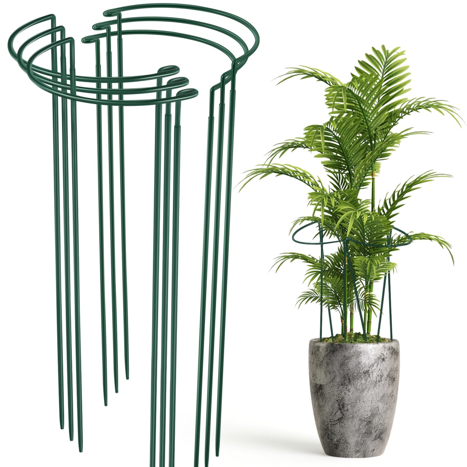 Tioncy 6 Pcs 48 H x 15.8 W Plant Support Stakes Cages for Garden, Metal Half Round Plants Tension Rods for Indoor Outdoor Large Tall Flower Vegetables Tomato Peony Rose Support