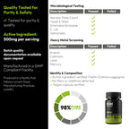 BGM Fisetin 500mg Supplement | Cotinus Coggygria (Smoke Tree) Extract | 98% Pure Flavonoid | Antioxidant Support | Vegan Capsules | 30 Count