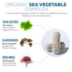 Organic Whole Food Magnesium Supplement - Plant-Based, Organic Sea Vegetable Complex - 250 mg Per Serving | Water Extracted | Gentle on Stomach | Supports Energy, Sleep, Muscle, Heart - 60 Capsules