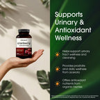 NatureBell Cranberry Concentrate - 240 Capsules - Organic Cranberry Concentrate with Acerola Cherry - Urinary Tract & Prostate Support* - Vegetarian