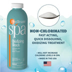 ProTeam Non-Chlorine Spa Shock for Hot Tub – Fast-Acting Oxidizing Shock Treatment, Clears Cloudy Water & Eliminates Odors – Made in USA, 2.2 lb + SplashWiz Care e-Book