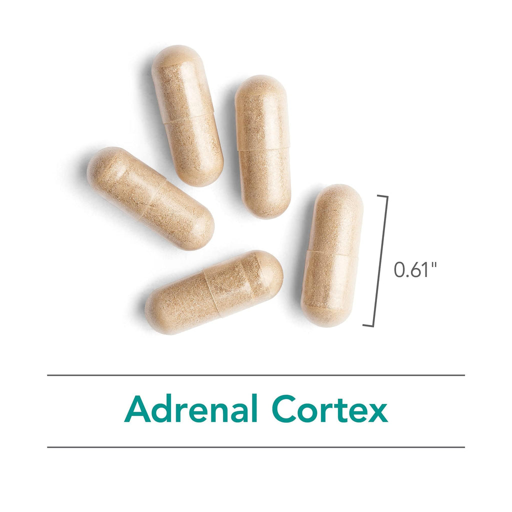 NutriCology Adrenal Cortex - Bovine Glandular Supplement 100 mg - Lyophilized Adrenal Cortex Extract - Endocrine & Adrenal Support - Hypoallergenic - 100 Servings - 100 Vegicaps