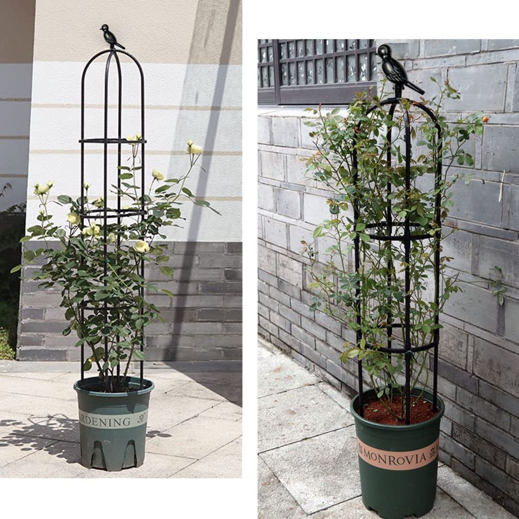 Garden Trellis for Climbing Plants Outdoor, Metal Plant Trellis with PE Coated, Rustproof Plant Support for Flowers Vegetable Vine, Tomato cage for Potted Plants Indoor Outdoor,Lightweight - 2 Pack