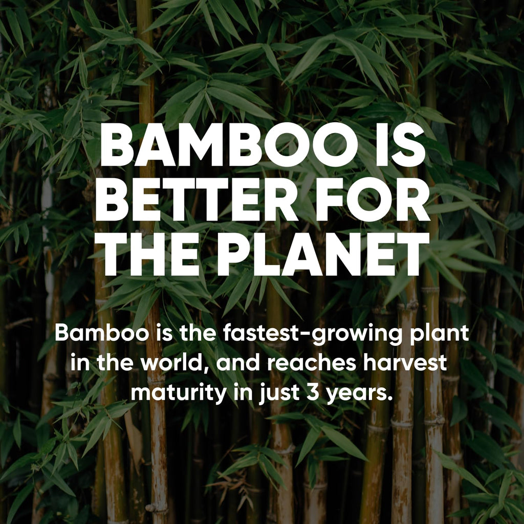 Save Trees Bamboo Toilet Paper - 12 Rolls Of Organic Toilet Paper, 3-ply, 300 Sheets Per Roll - PFAS Free, FSC Certified, Plastic Free, Vegan & Chemical Free Bamboo TP