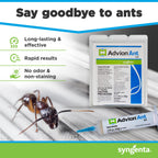 Advion Ant Gel Bait, 4 Tubes x 30-Grams, 4 Plungers and 4 Tips, Effective Bait, Formulated with 0.05% Indoxacarb, Indoor and Outdoor Use, Killer Gel for Control of Most Major Ant Species