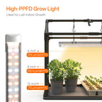 Bstrip Mini Indoor Greenhouse with Grow Light, Tabletop Seed Starting Tent