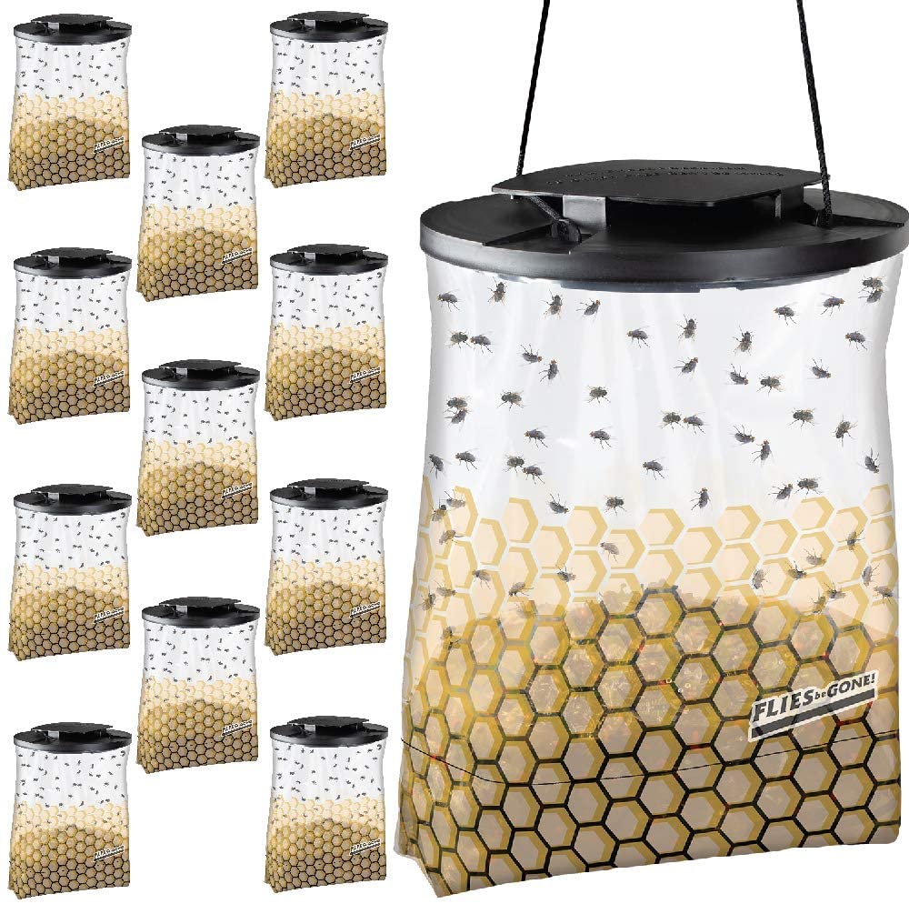 Flies Be Gone - Non Toxic Fly Trap (12 Pack)