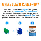 Organic Blue Spirulina Powder, 120 Servings - 100% Pure Superfood Blue-Green Algae, Natural Food Coloring for Smoothies & Protein Drinks - Non GMO, Gluten-Free, Vegan + USDA Certified, No Fishy Smell