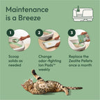 Purina Tidy Cats Litter Pellets, Breeze Refill Litter Pellets in Recyclable Box - (6) 3.5 lb. Bags