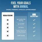 Animal Creatine HMB Powder – 3g myHMB + 5g Creatine with Electrolytes for Recovery & Daily Energy – Power Punch Flavor, 30 Servings