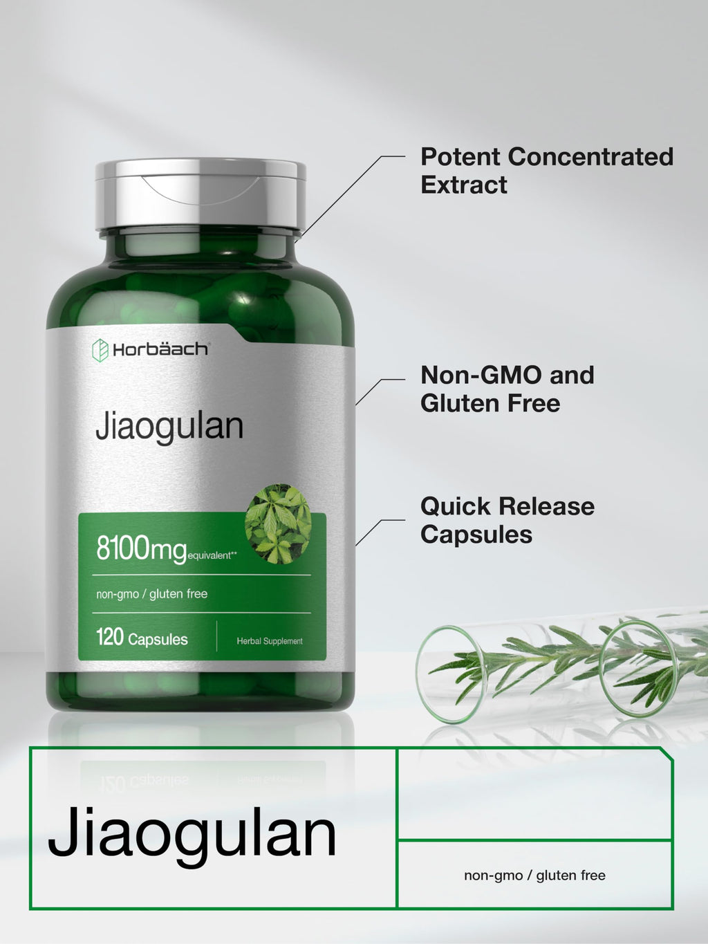 Horbäach Jiaogulan Capsules | 120 Count