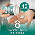 With Christensenella & Akkermansia, 8 Probiotic Strains - 50 Billion CFU