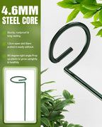 12 Pack 36 Inch Plant Support Stakes for Outdoor Plants and Indoor Flowers
