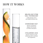 Meaningful Beauty Youth Activating Melon Serum, Lightweight, Hydrating, Anti Aging Face Serum with Melon Stem Cell Extract & Hyaluronic Acid, Skin Care for Mature Skin, Travel Size, 1.7 Fl Oz