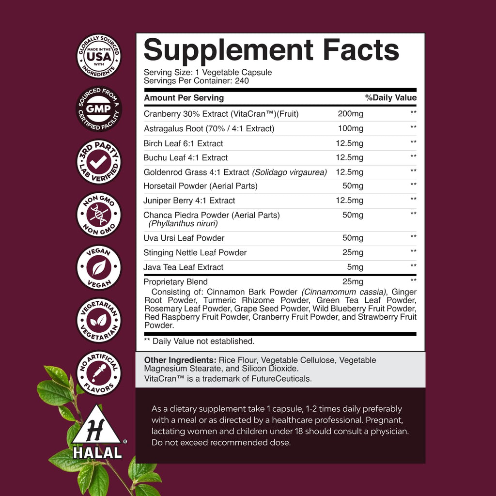 Advanced Kidney Support Supplement - Kidney Cleanse Detox & Repair Cranberry Extract Capsules with Uva Ursi, Stinging Nettle & Astragalus for Kidney Health - Urinary Tract Health - 240 Count