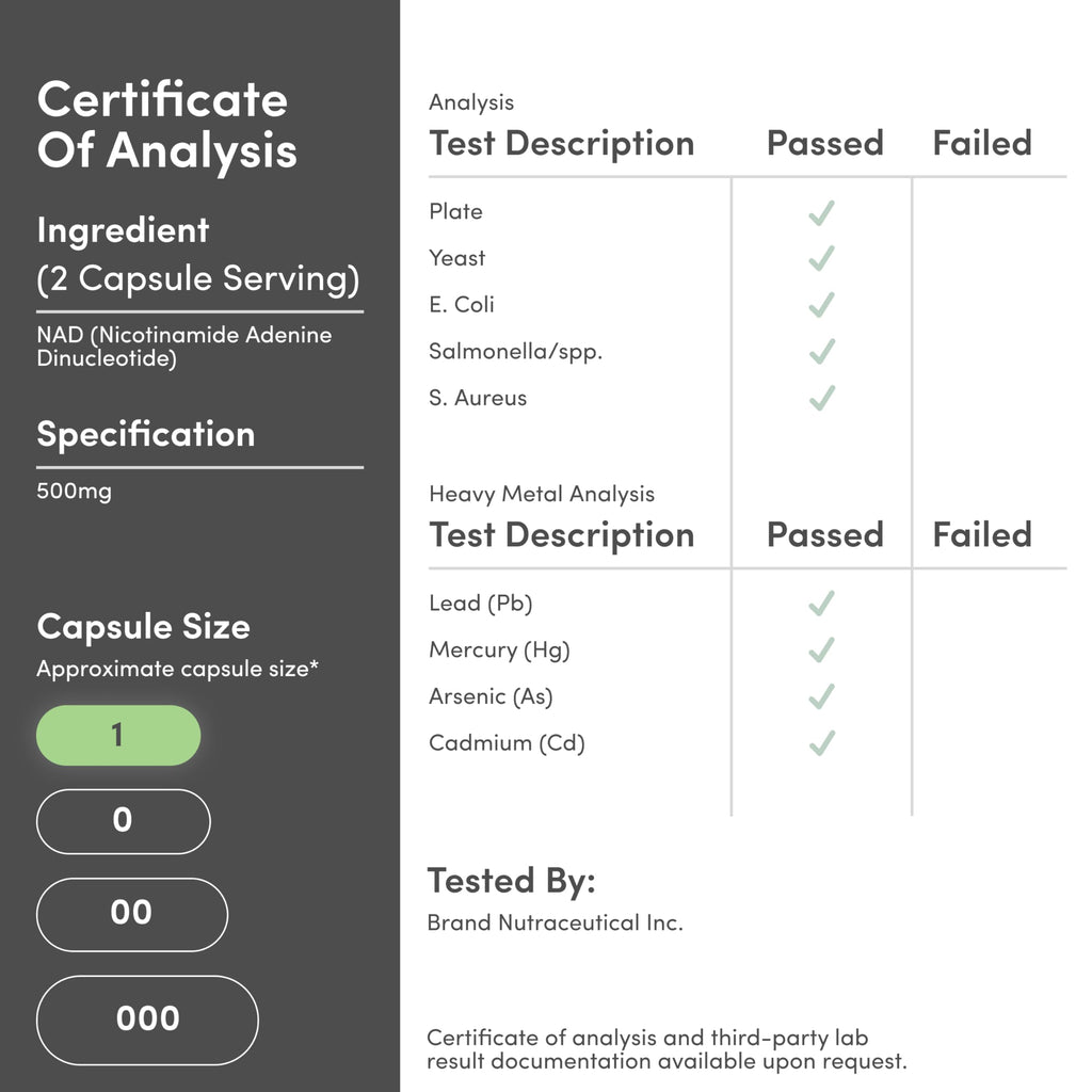Double Wood Supplements NAD+ Anti Aging & Cell Regeneration | 500mg of 95% Pure NAD Plus Per Serving, 30 Day Supply | Similar to Nicotinamide Riboside | Third Party Tested, Vegan Safe, Non-GMO