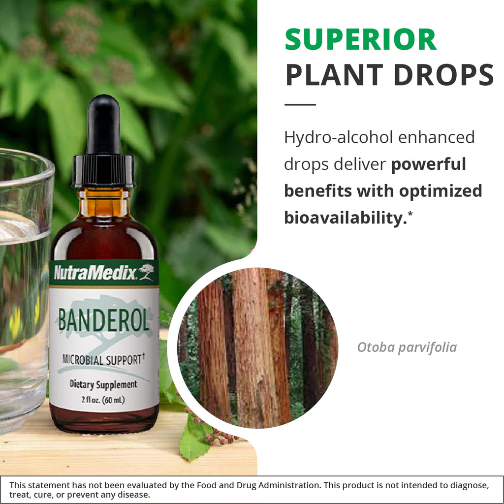 NutraMedix Daily Immune Support Supplement - Banderol Herbal Supplements for Immune System Support - Vegan Tincture - Bioavailable Otoba Bark Extract Liquid Drops (2 oz/60 ml)