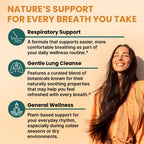 5-in-1 Mullein Drops for Bronchial and Respiratory Support with Mullen Leaf Extract Lung Supplement - Mullein Tincture with Elderberry and Ginger Root, Honey Lemon Flavor (60 Servings, Pack of 2)