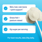 Vital Proteins Collagen Peptides Powder - Supports Hair, Nail, Skin, Bone & Joint Health, Unflavored, Collagen Protein 9.33 OZ